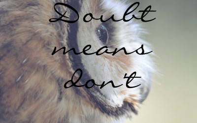 Doubt means don’t