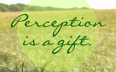 Perception is a gift