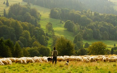 The allure of minimalist living