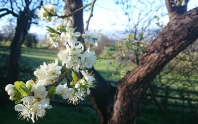 How to live in grace