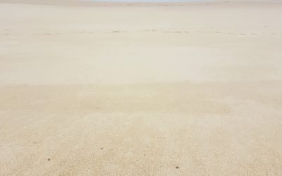 An alternative to beating yourself up