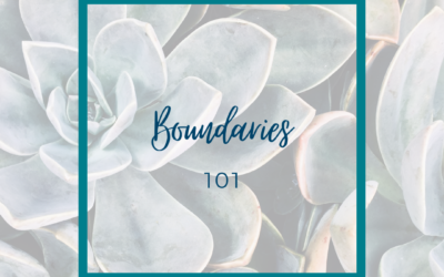 Boundaries 101
